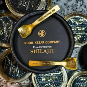 Himalaya Shilajit 100 gm